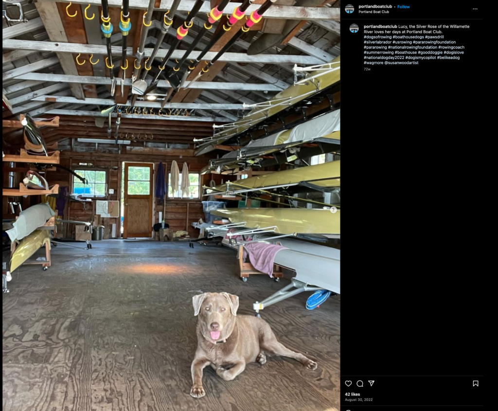 Best Rowing Dogs Part IV - Rowing Travel Blog